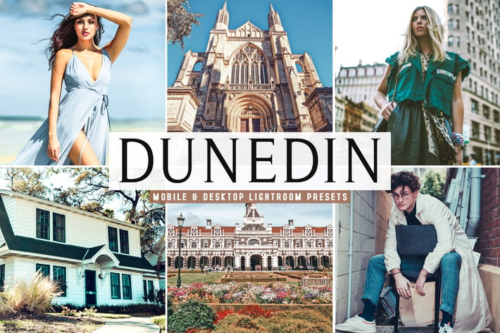 Dunedin Mobile & Desktop Lightroom Presets