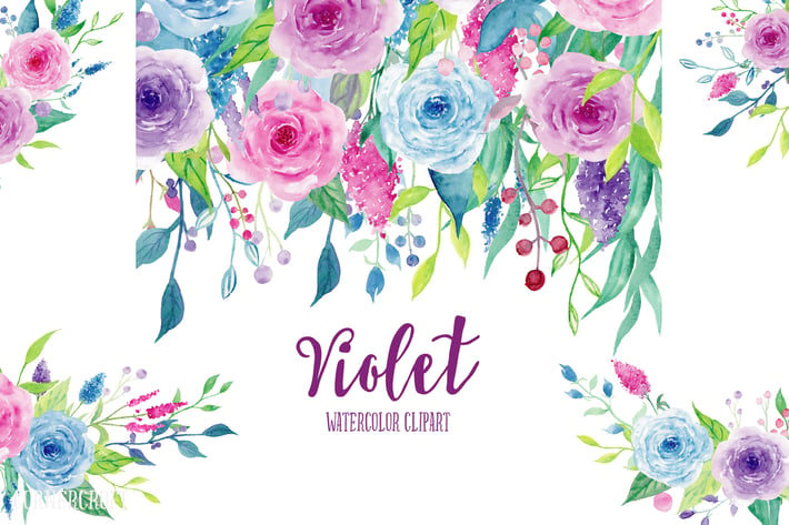 Watercolor Clipart Violet Collection