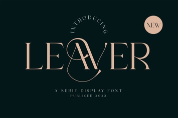 Modern Serif Display Font