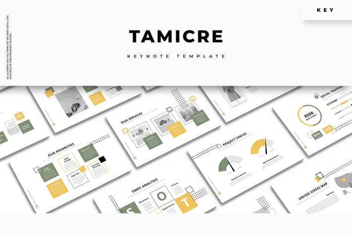 Tamicre - Creative Keynote Template