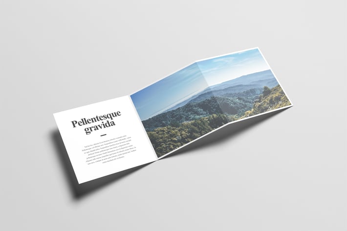 Square Z-Fold Brochure Mock-Up