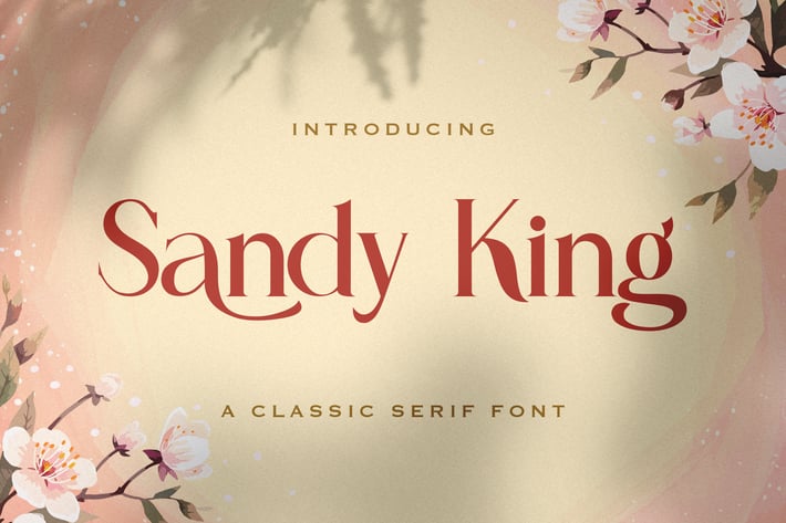 Sandy King - Casual Serif Font