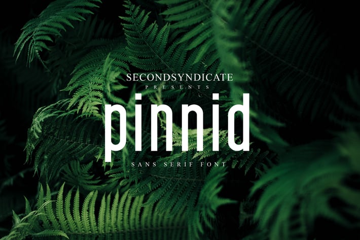Pinnid Font