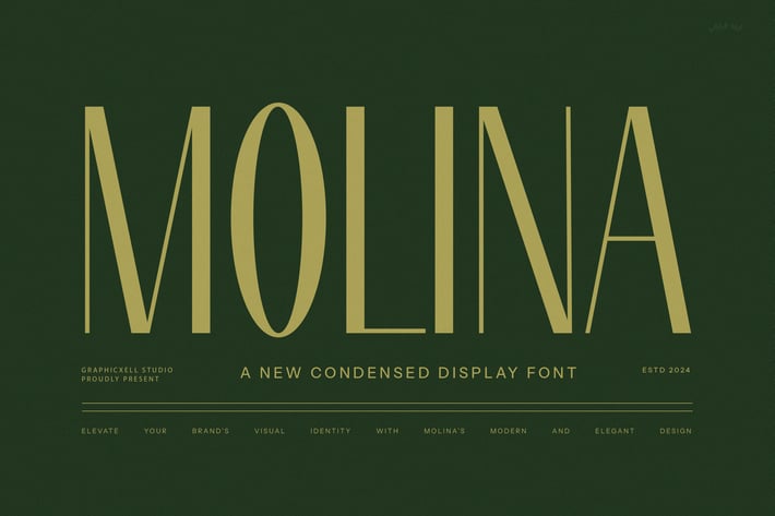 Molina Modern Sans Serif Font