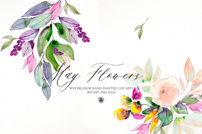 May Flowers - watercolor floral set