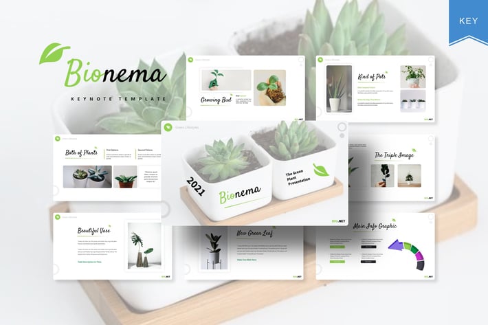 Bionema | Keynote Template