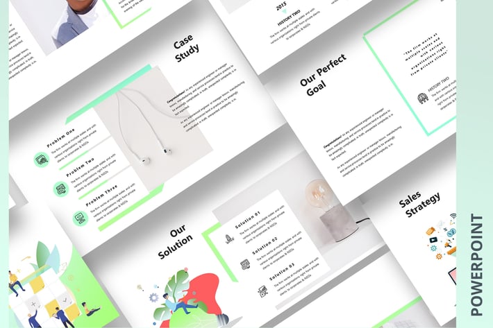 Stirna Agency PowerPoint Template