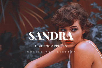Sandra Lightroom Presets Dekstop and Mobile