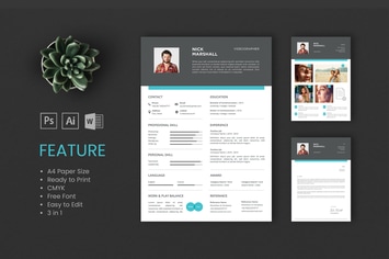 Professional CV And Resume Template Nick