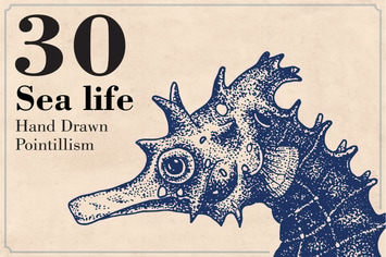 Sea Life - Hand drawn Illustration