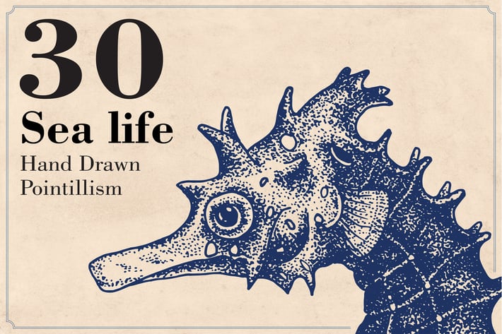 Sea Life - Hand drawn Illustration