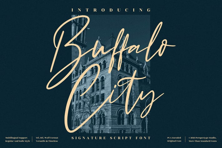 Buffalo City Signature Script Font