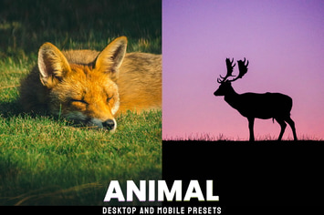 Animal  - Desktop and Mobile Presets