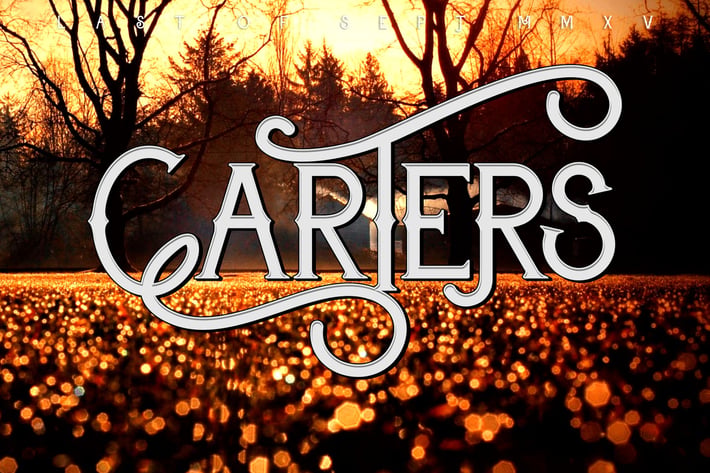 Carter Typeface