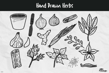 Hand Drawn Herbs