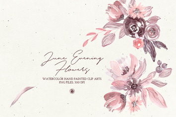 June Evening Flowers