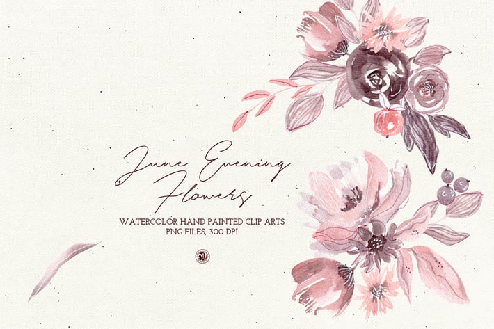 June Evening Flowers