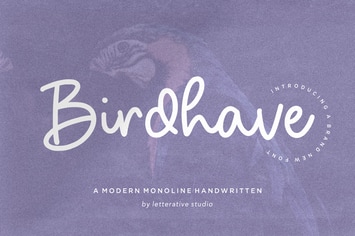 Birdhave - Modern Handwritten Logo Font
