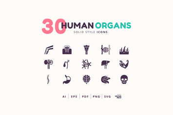 30 Icons Human Organs Solid Style