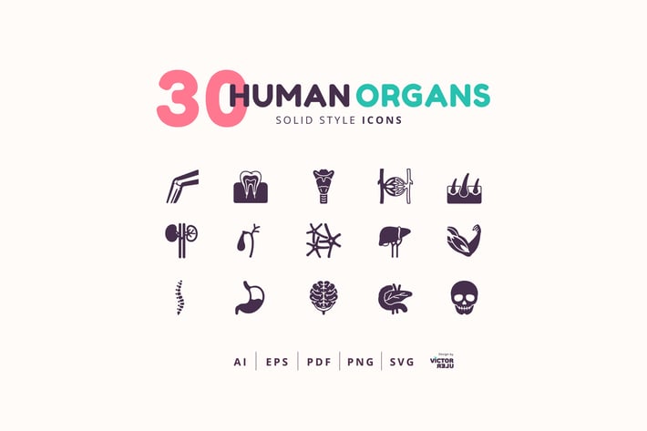 30 Icons Human Organs Solid Style