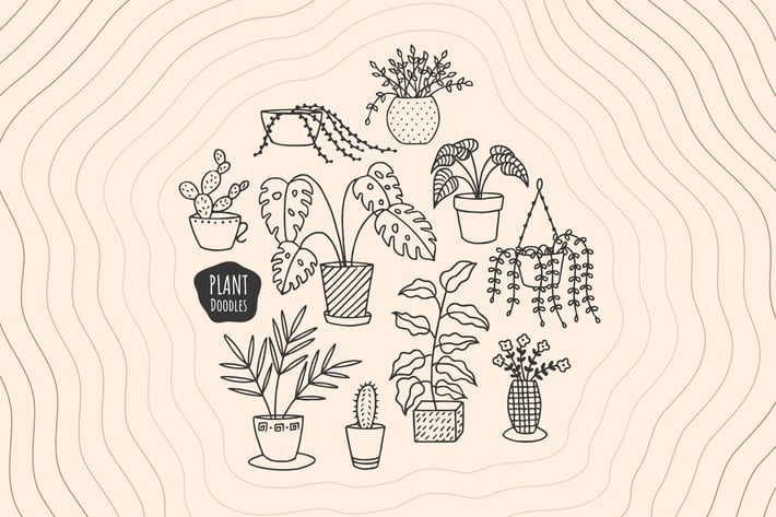 Plant Doodles