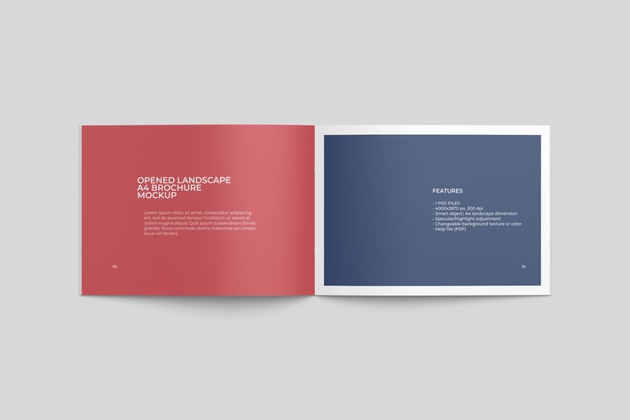 Opened A4 and US Letter Sizes Brochure Mockups