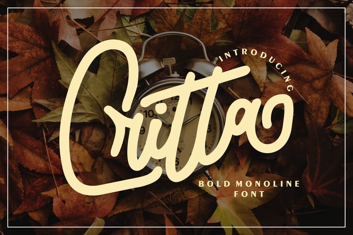 Critta | Bold Monoline Font