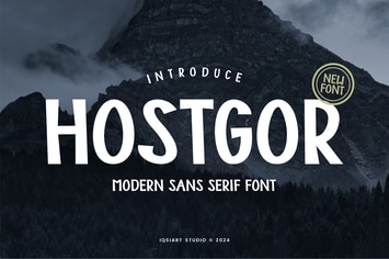 Hostgor - Modern Sans Serif Font