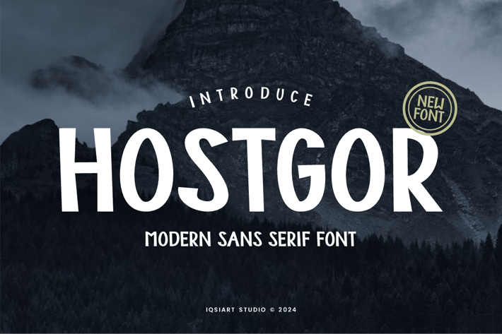 Hostgor - Modern Sans Serif Font