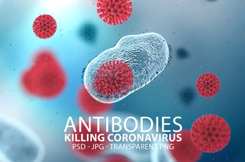 Antibodies Killing Corona Virus