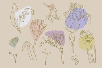 Floral Lines