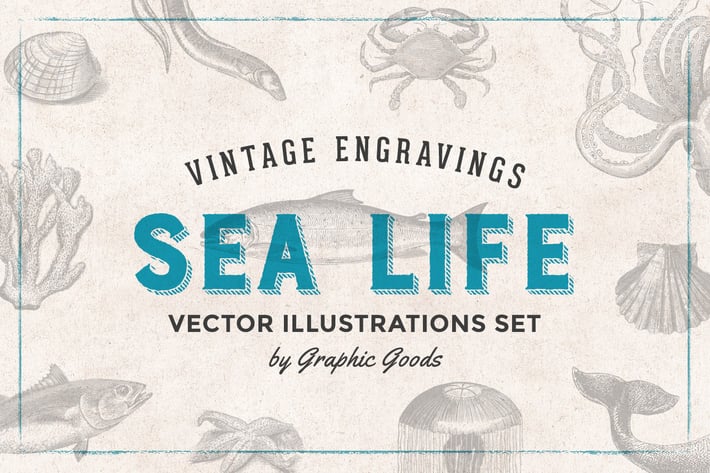 Fishes & Sea Life - Engraving Illustration Set
