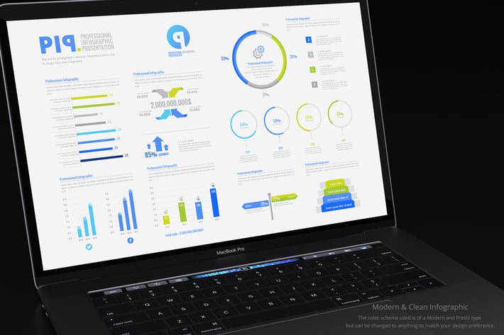 Professional Infographic Presentation