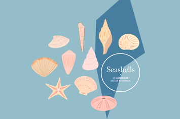 Seashells - Handmade Vector Drawings