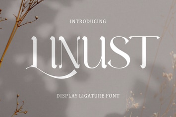 Linust - Display Modern Font