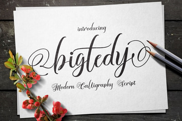 BIGTEDY