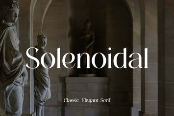 Solenoidal Classic Elegant Serif Font