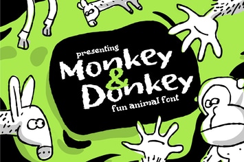 MonkeyDonkey, informal book cover font