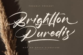 Brightton Puredis Modern Brush Signature Font