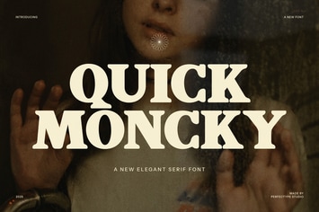 Quick Moncky Elegant Serif Font