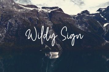 Wildy Sign