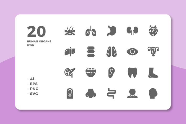 20 Human Organs Icons (Solid)