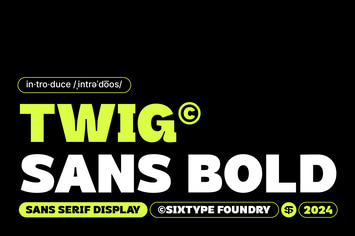 Twig Sans Bold 