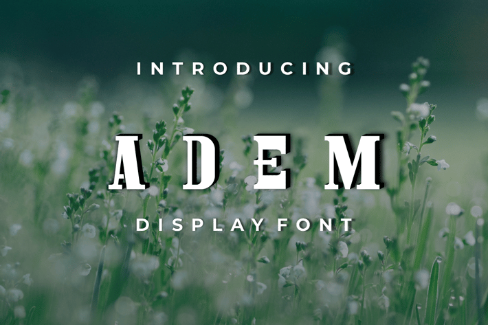 ADEM Serif Font