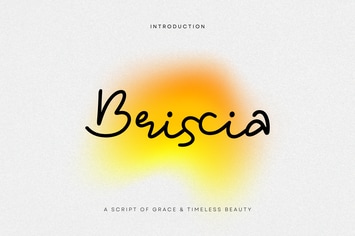 Briscia – A Graceful & Timeless Script Font