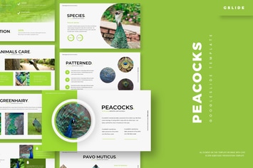 Peacoks - Google Slides Template