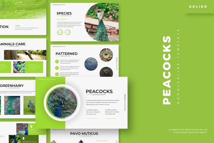 Peacoks - Google Slides Template