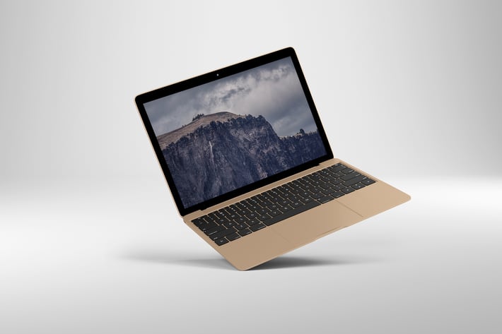 14x9 Screen Mock-Up - Gold