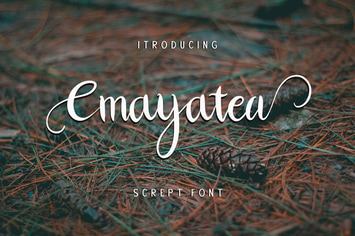 Cmayatea