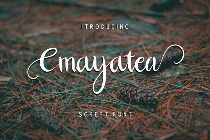 Cmayatea